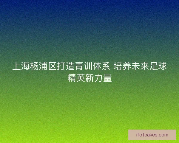 上海杨浦区打造青训体系 培养未来足球精英新力量
